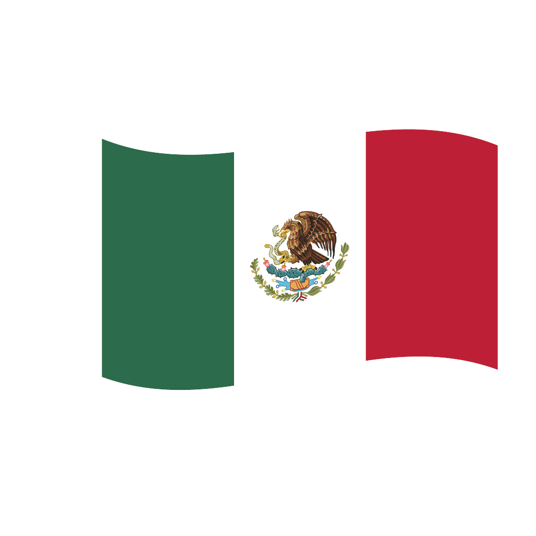 People-Working-Corp-Mexico-Flag